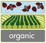 Botijo Rojo Garnacha Tinta, 2021