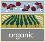 Botijo Rojo Viñas Viejas