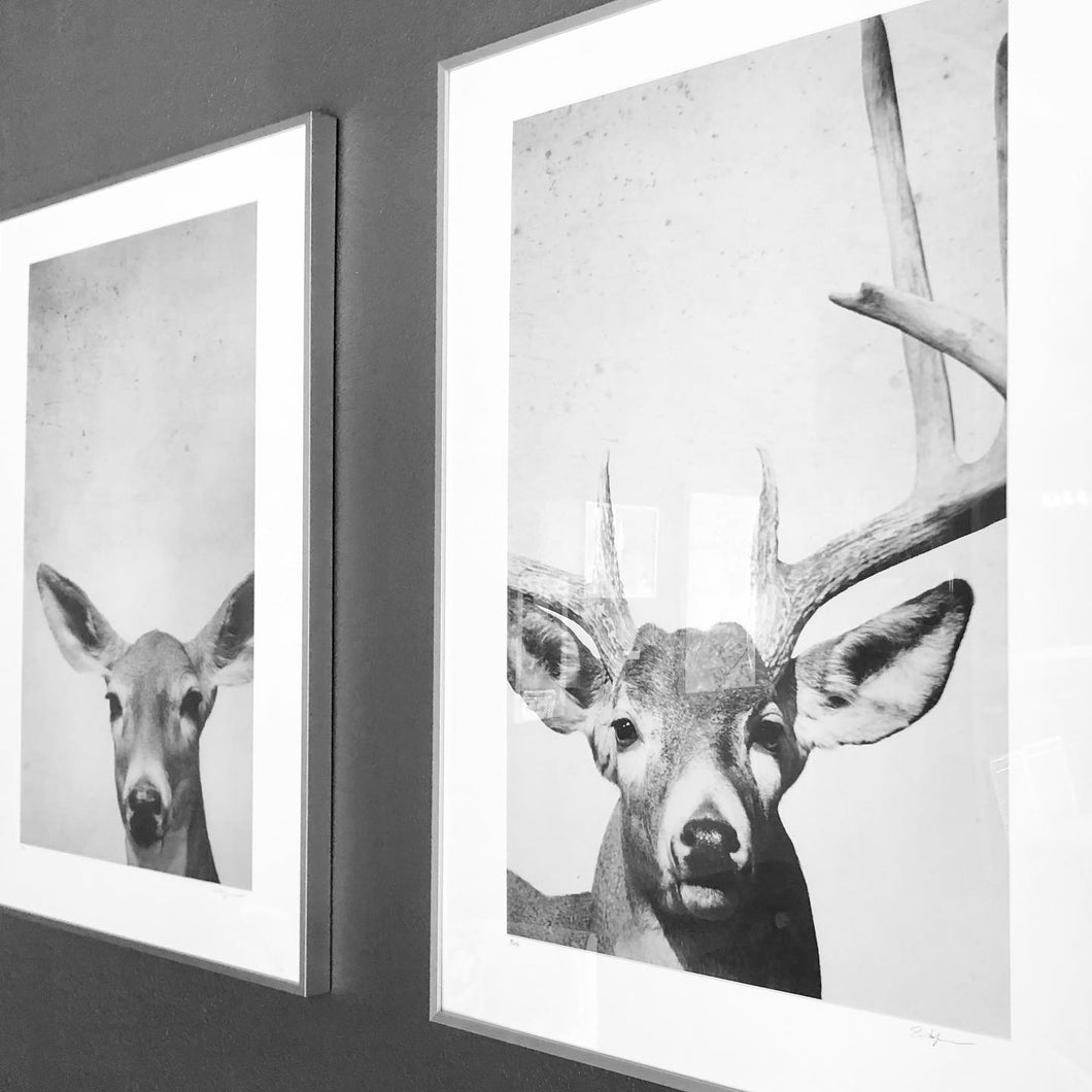 Private Party Reservation