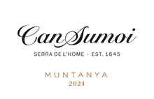 Can Sumoi "Muntanya", 2024