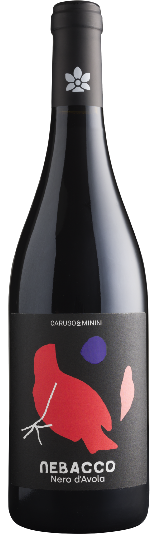 Caruso & Minini 