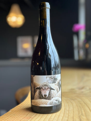 In Sheep's Clothing Pinot Noir, 2023