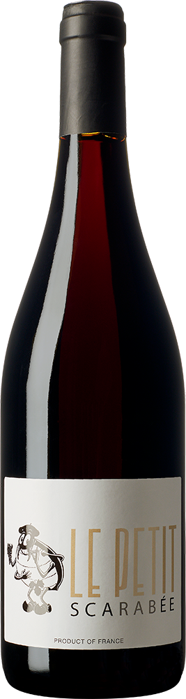 Le Petit Scarabée Rouge, 2023