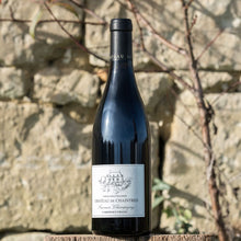 Chateau de Chaintres Saumur Champigny Vieilles Vignes, 2020/2021