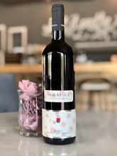 Malabaila Brachetto 'Birbet' (sweet), 2022