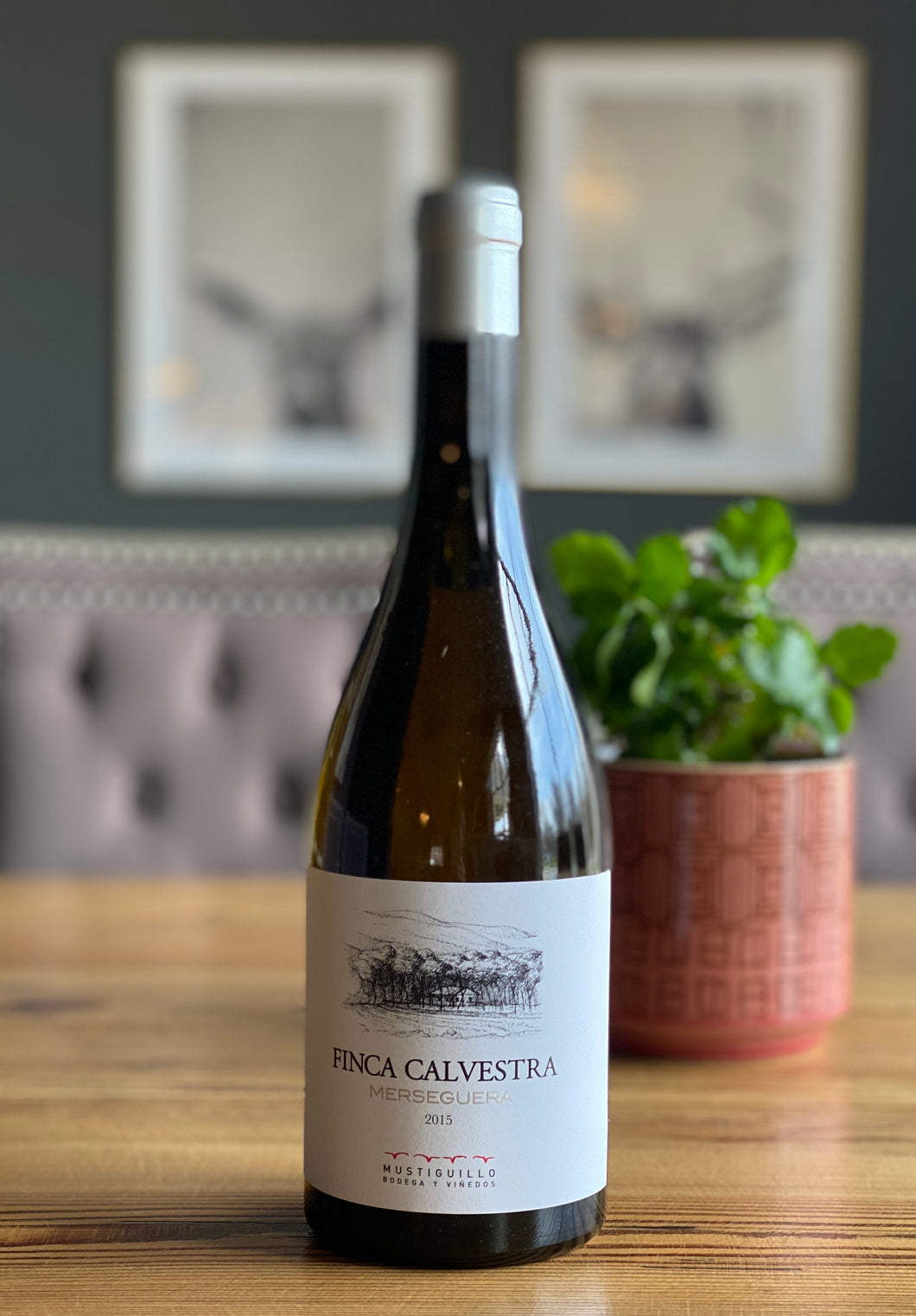 Finca Calvestra Merseguera, 2015